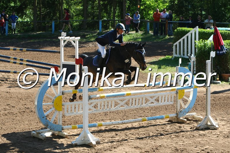 104M8858_Spring M_m.Stechen.JPG